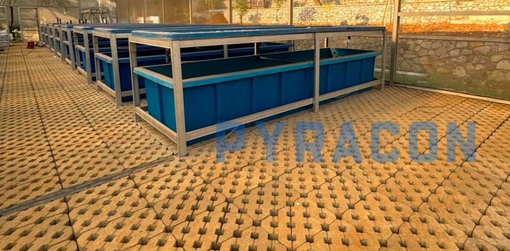 Apakah Paving Block Menyerap Air? Ini Faktanya